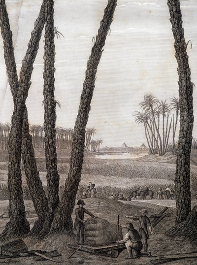 Menfis, vista de las ruinas (científicos y artistas trabajando) - en “Descripción de Egipto”, Ediciones Imperiales de Unknown artist