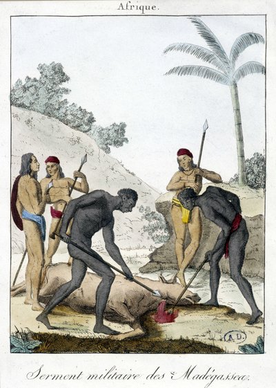 Juramento militar de los habitantes de Madagascar (sacrificaron un buey) - grabado 1811 de Unknown artist