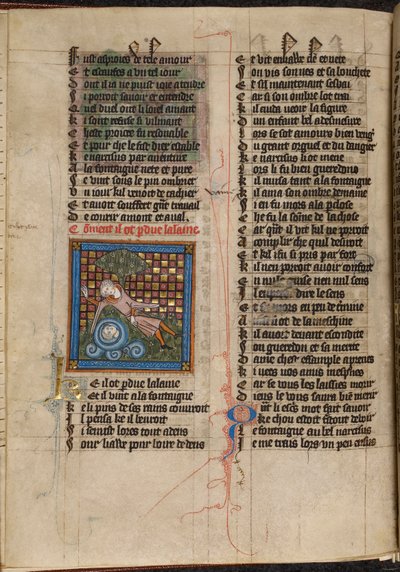 Miniatura de Narciso admirando su reflejo en una fuente, de "Le Roman de la Rose". de Unknown artist