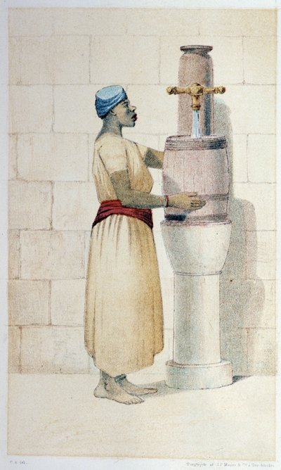 Mulato de Oceanía - en “Primera circunnavegación sueca” de Skogman Carl Johan Alfred, ed. Estocolmo, Adolf Bonnier de Unknown artist