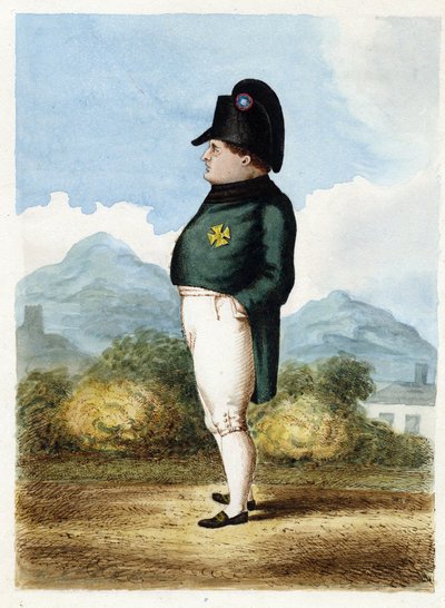 Napoleón Bonaparte en la isla de Santa Elena de Unknown artist