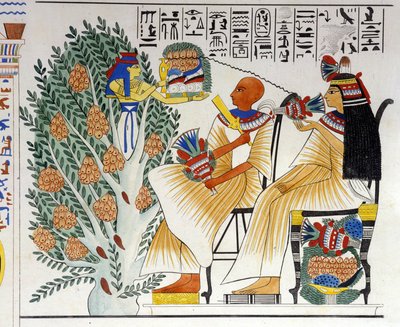 Nephtys, diosa egipcia, surge del árbol místico y ofrece comida al difunto - en “Monumentos de Egipto y Nubia Superior” de Ippolito Rosellini. Siglo XIX. de Unknown artist