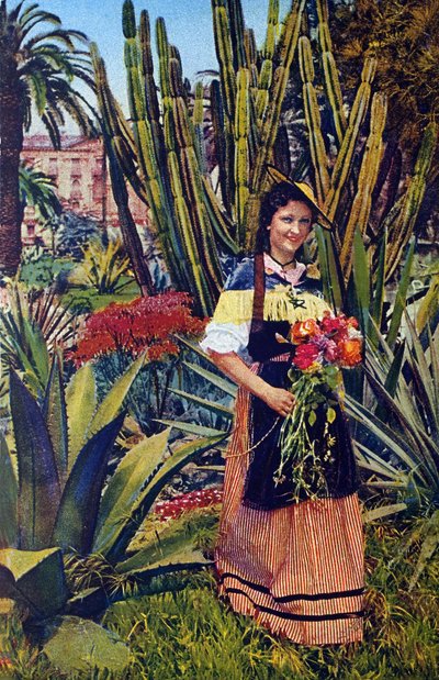 Nicoise. Tarjeta postal hacia 1930. Archivos municipales de Niza. de Unknown Artist