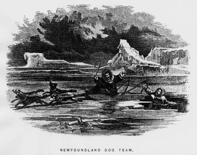 Polo norte: perro de trineo sobre un hombre que cae a través del hielo - Elisha Kent Kane, Exploraciones Árticas en los años 1853-1855, Filadelfia, Childs y Peterson de Unknown artist
