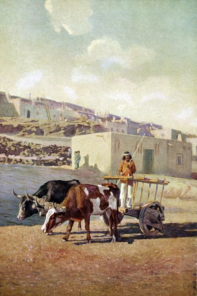 Vieja carreta tirada por dos bueyes, conducida por un nativo americano del Pueblo en Laguna, Nuevo México. de Unknown artist