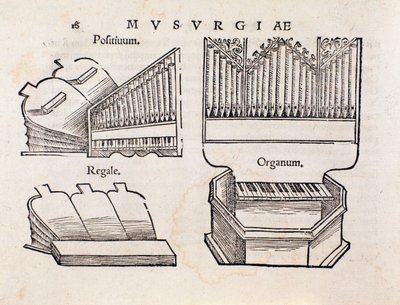 Representación de órgano. Página tomada del manual práctico de música Musurgia de Unknown artist