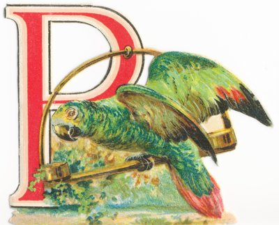 P: loro de Unknown artist