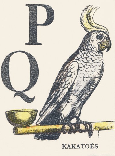 P Q: cacatúas de Unknown artist