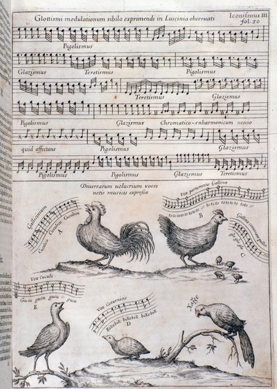 Página de Musurgia (1650) de Unknown artist