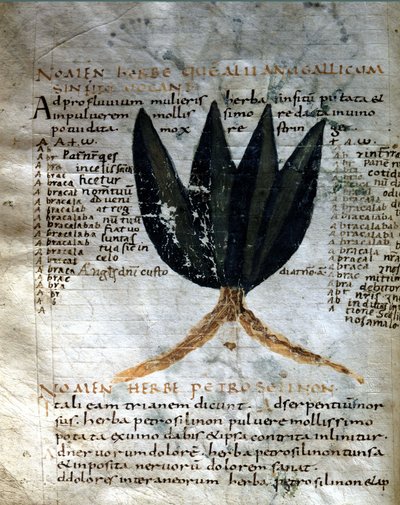 Página del manuscrito de Apuleyo (ca. 125-ca. 180), 