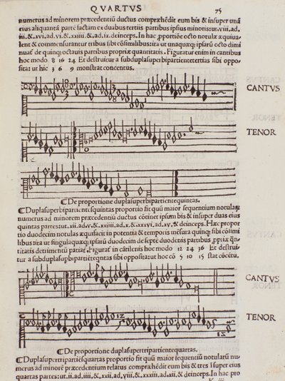 Página tomada de Practica Musicae de Franchino Gaffurio de Unknown artist