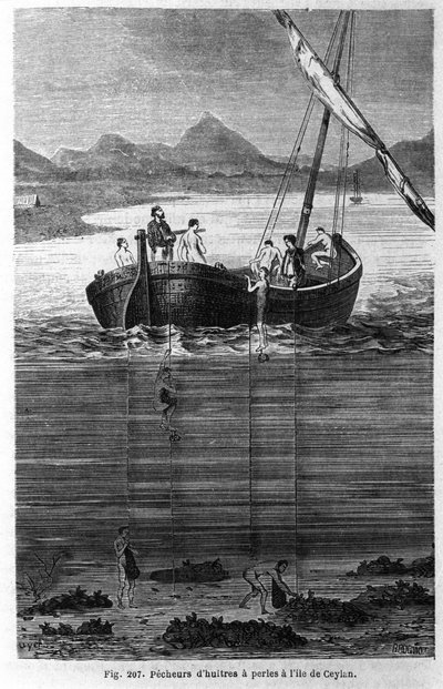 Pescadores de perlas en Ceilán (actual Sri Lanka) de Unknown artist