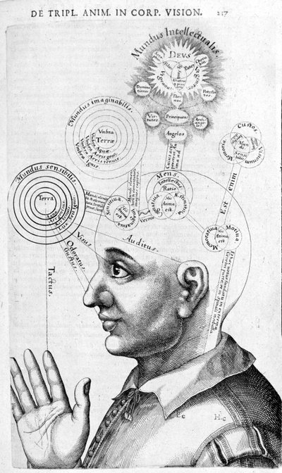 Imagen de fisionomía (frenología) de Collectio Operum de Robert Fludd (Robertus de Fluctibus). Londres 1617 de Unknown artist