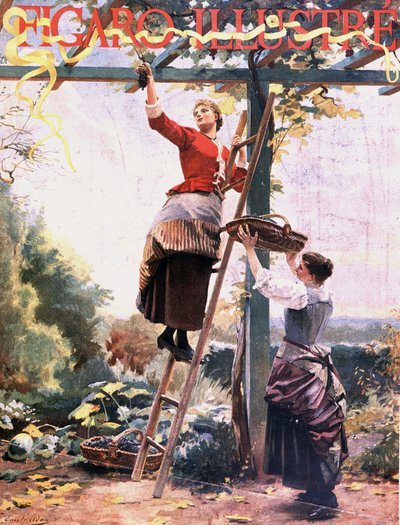 Cosecha de uvas en viñas suspendidas - en “Figaro ilustrado”, oct. 1891 de Unknown artist