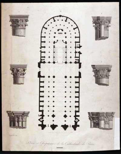 Plano y capiteles de la catedral Notre Dame en París. Siglo XIX de Unknown artist