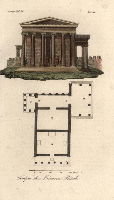 Plano y elevación del Erecteión o Erecteón A, Templo de Neptuno B, Templo de Atenea Polias con Pórtico de las Cariátides C, y Templo de Pandrosos o Pandrosión D de Unknown artist