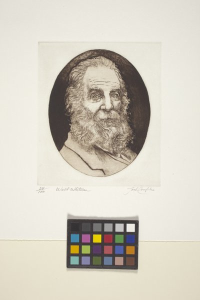 Retrato de Walt Whitman (tinta, grabado) de Unknown artist