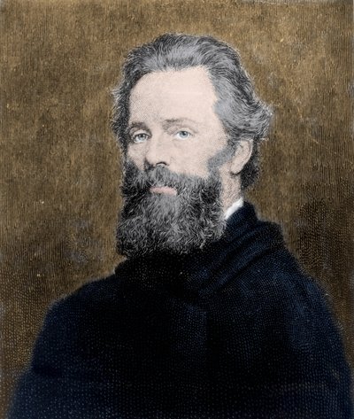 Retrato del poeta y novelista estadounidense Herman Melville (1819-1891). de Unknown artist
