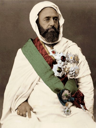 Retrato de Ben Mahi Ed Din Abd El Kader (Abd El-Kader) (1808-1883) Emir argelino de Unknown artist