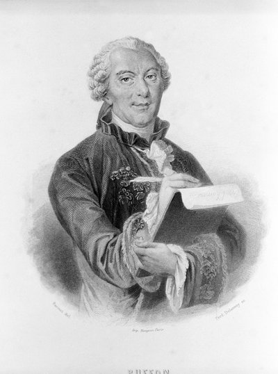 Retrato de Buffon (1707 - 1788), naturalista y escritor francés. de Unknown artist
