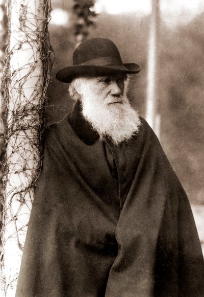 Retrato de Charles Darwin (1809-1882) de Unknown artist