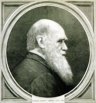 Retrato de Charles Darwin (1809 - 1882) de Unknown artist