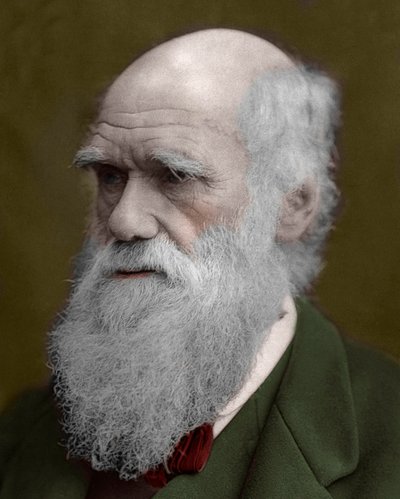 Retrato de Charles Darwin de Unknown artist