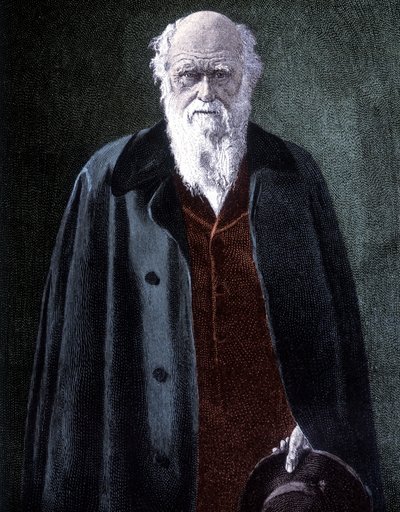 Retrato de Charles Darwin, naturalista británico (1809 - 1882) de Unknown artist