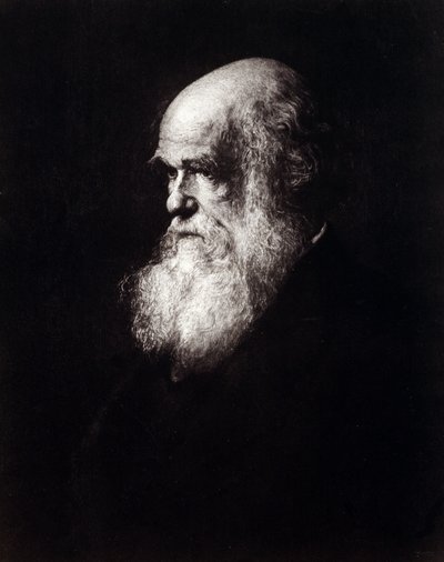 Retrato de Charles Robert Darwin (1809 - 1882) de Unknown artist