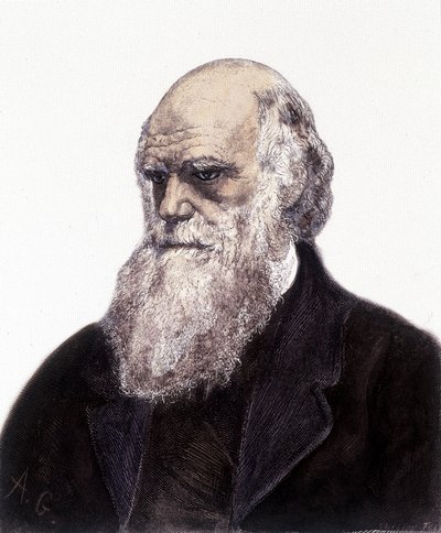 Retrato de Charles Robert Darwin, naturalista británico (1809-1882) de Unknown artist