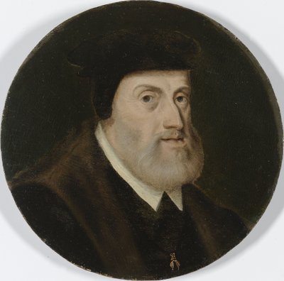 Retrato de Carlos V, c.1550 de Unknown artist