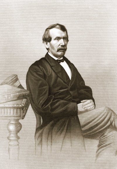 Retrato de David Livingstone (1813 - 1873) de Unknown artist