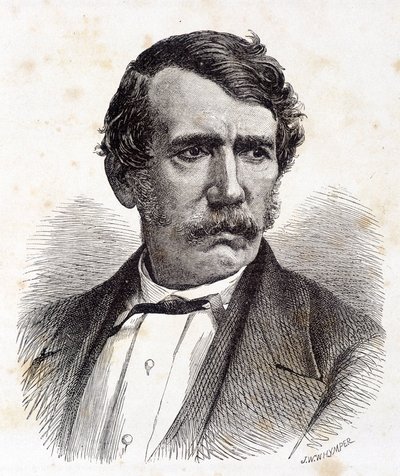 Retrato de David Livingstone, misionero y explorador británico (1813-1873) - en “Tour du Monde”, 2do sem. 1875 de Unknown artist