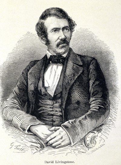 Retrato de David Livingstone, misionero escocés (1813-1873) de Unknown artist