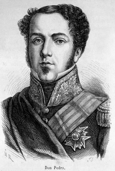 Retrato de Don Pedro de Unknown artist