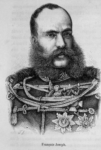 Retrato de Francisco José I, Emperador de Austria (1830 - 1916) de Unknown artist