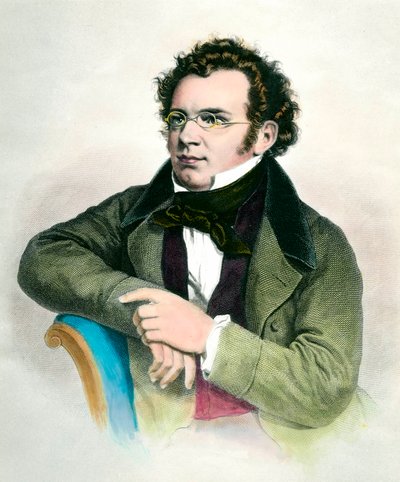 Retrato de Franz Schubert (1797-1828), compositor austriaco. Grabado del siglo XIX de Unknown artist
