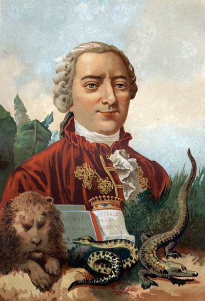 Retrato de Georges Louis Leclerc, Conde de Buffon (1707-1788), naturalista y escritor francés (La Ciencia y sus Hombres) de Unknown artist