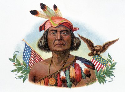 Retrato de Gerónimo, jefe apache frente a banderas americanas. Cromolitografía del siglo XIX. de Unknown artist