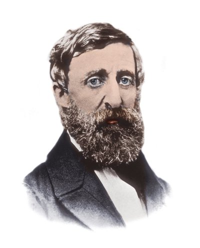 Retrato de Henry David Thoreau (1817-1862) - ensayista, poeta, filósofo, abolicionista, naturalista, resistente fiscal, crítico del desarrollo, topógrafo e historiador estadounidense de Unknown artist