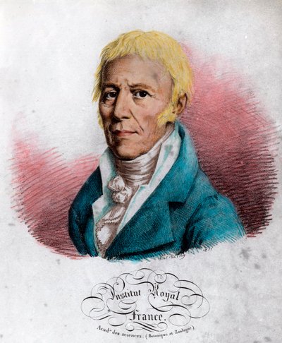 Retrato de Jean Baptiste Lamarck, naturalista francés. Grabado del siglo XIX. Colección privada. de Unknown artist