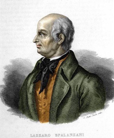 Retrato de Lazzaro Spalanzani (o Spallanzani), biólogo italiano (1729 - 1799) de Unknown artist