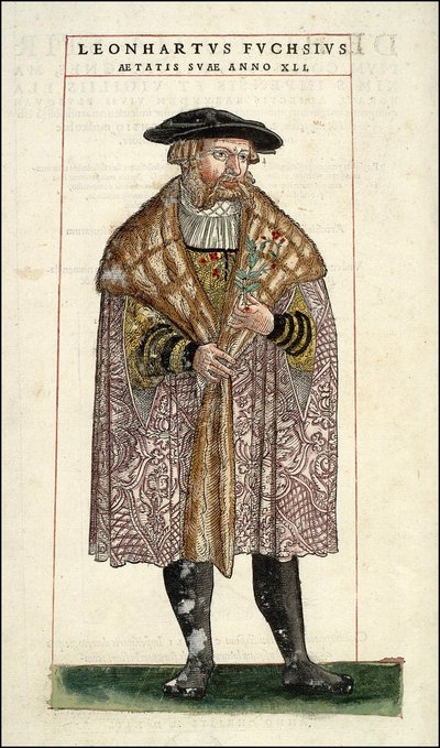 Retrato de Leonhart Fuchs: Botánico - médico alemán (1501 - 1566) - en “De Historia Stirpium commentarii badges,...” de Leonhart Fuchs de Unknown artist