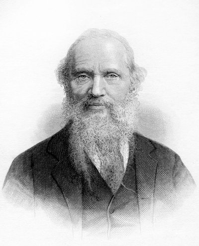 Retrato de Lord Kelvin (William Thomson) de Unknown artist