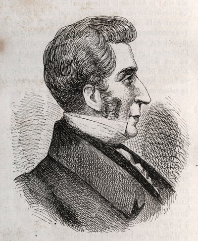 Retrato de Louis Charles Bonaventure Pierre, Conde de Mesnard 1769-1842 - grabado de Unknown artist