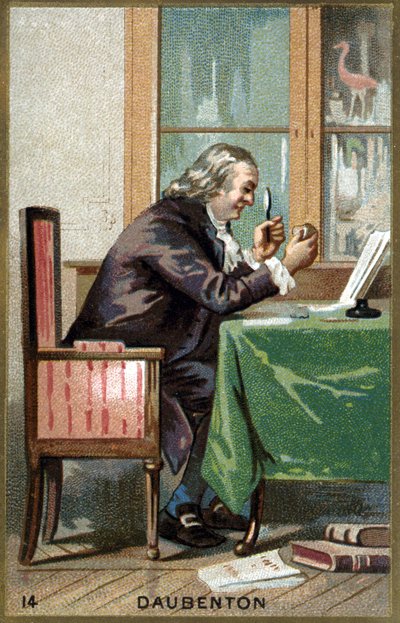 Retrato de Louis Jean Marie Daubenton, dit Daubenton (1716 - 1800), naturalista francés. Cromolitografía del siglo XIX de Unknown artist