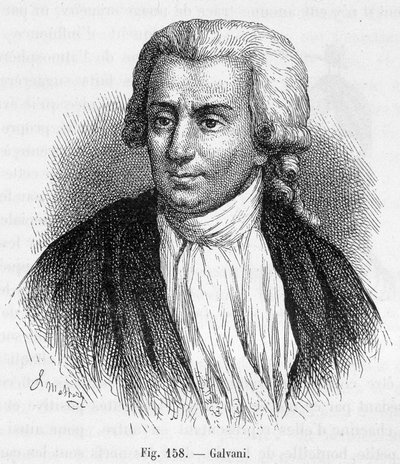Retrato de Luigi Galvani, médico y físico italiano (1737 - 1798) - en "Magnetismo y Electricidad" de Amédée Guillemin de Unknown artist