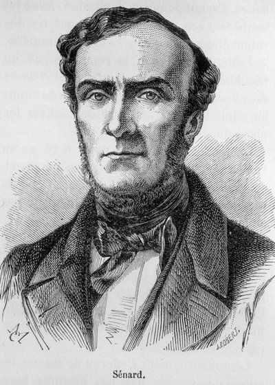 Retrato de Marie Antoine Jules Senard, miembro del Colegio de Abogados de París, ex Presidente de la Asamblea Nacional y ex Ministro del Interior. Defendió a Gustave Flaubert durante el juicio tras la publicación de Madame Bovary. Grabado del siglo XIX de Unknown artist