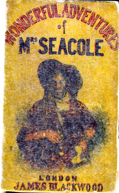 Retrato de Mary Jane Seacole (1805 - 14 de mayo de 1881), de soltera Grant. Nacida en Jamaica, de ascendencia escocesa y criolla, estableció un "Hotel Británico" tras las líneas durante la guerra de Crimea, que describió como "un comedor y un alojamiento c de Unknown artist