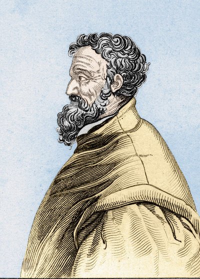 Retrato de Michelangelo Buonarroti de Unknown artist